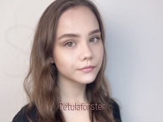 Petulaforster