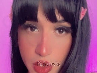 Piinkyrosse