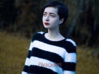 Pileacadieri