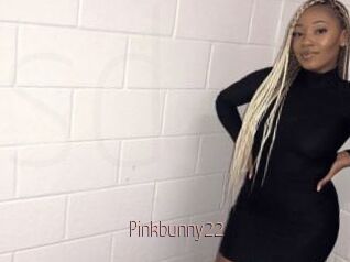 Pinkbunny22