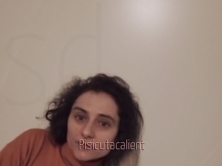Pisicutacalient