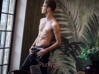 pluckygay Sexe désirs