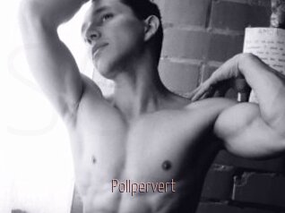 Pollpervert