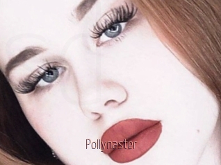 Pollynaster