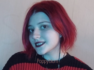 Poppyblom