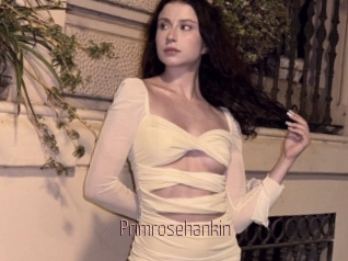 Primrosehankin