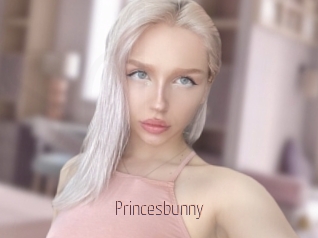 Princesbunny