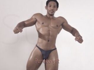 Pumebonyfit