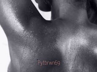 Pytbrwn69