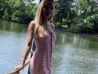 ROSE69