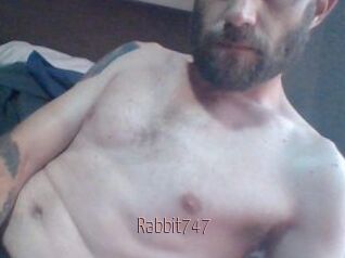 Rabbit747