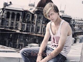 RabbitBlonde