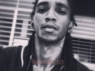 Raphael882303