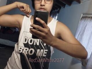 RedSanWhite2077