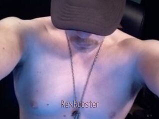 RexRooster Sexe désirs