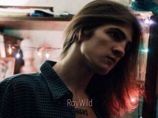 RoyWild