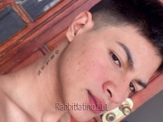 Rabbitlatino111