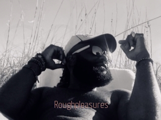 Roughpleasures
