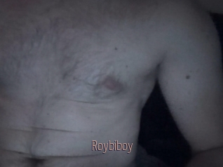 Roybiboy
