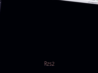 Rzs2