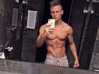 SANDRO_MUSCLE