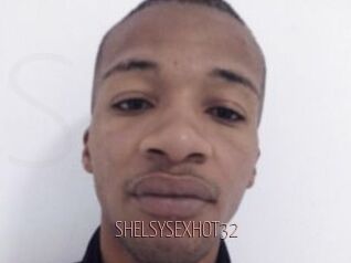 SHELSYSEXHOT32