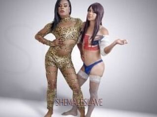 SHEMALESLAVE