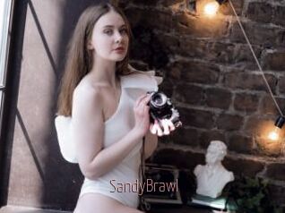 SandyBrawl