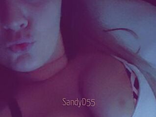 SandyD55