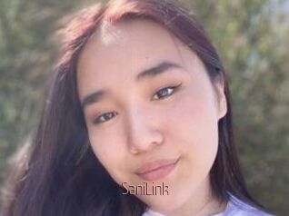 SaniLink