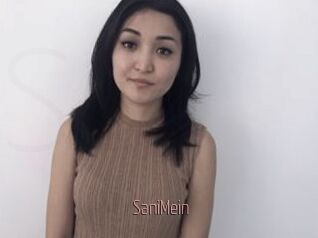 SaniMein