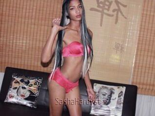 SashaHardyst