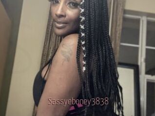 Sassyeboney3838