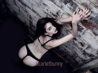 Scarletbunny