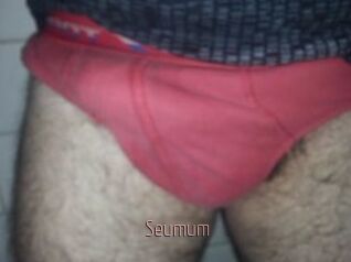 Seumum