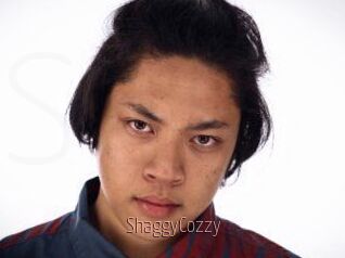 ShaggyCozzy
