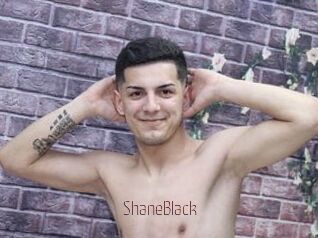 ShaneBlack