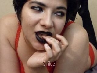 Shiloe