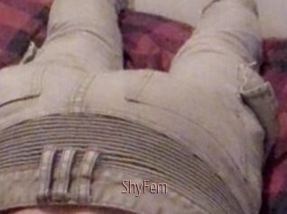ShyFem