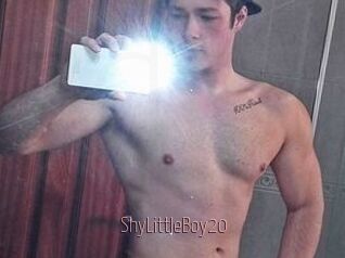 ShyLittleBoy20