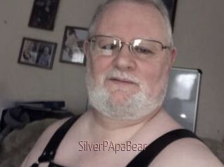 SilverPApaBear