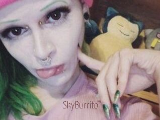 SkyBurrito