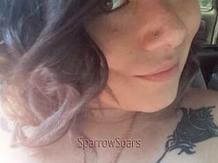 SparrowSoars