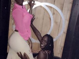 StallionPussy