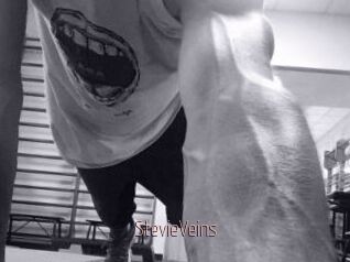 StevieVeins