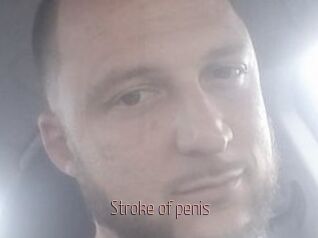 Stroke_of_penis