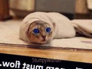 StumpyWoman