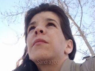 Sandra300