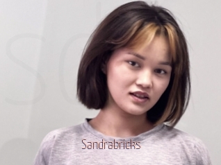 Sandrabricks