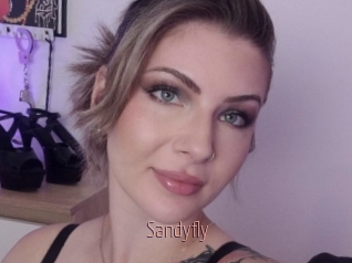 Sandyfly